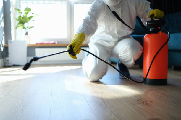 Best Wasp Removal Services  in Chrisman, IL